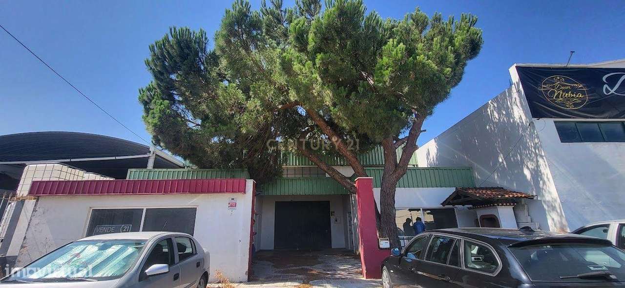 Armazém em Torres Novas - Grande imagem: 4/13