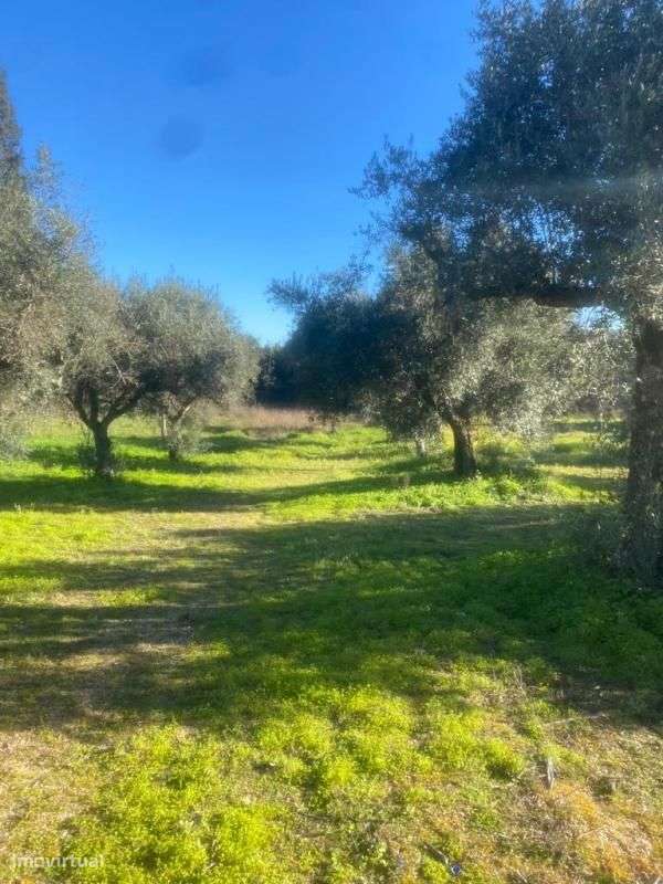 Terreno - Grande imagem: 3/6