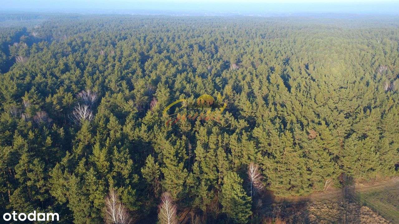 Budowlana,pow.900m²,jez. Zegrzyńskie-5km, Media - Pełny obrazek: 4/6