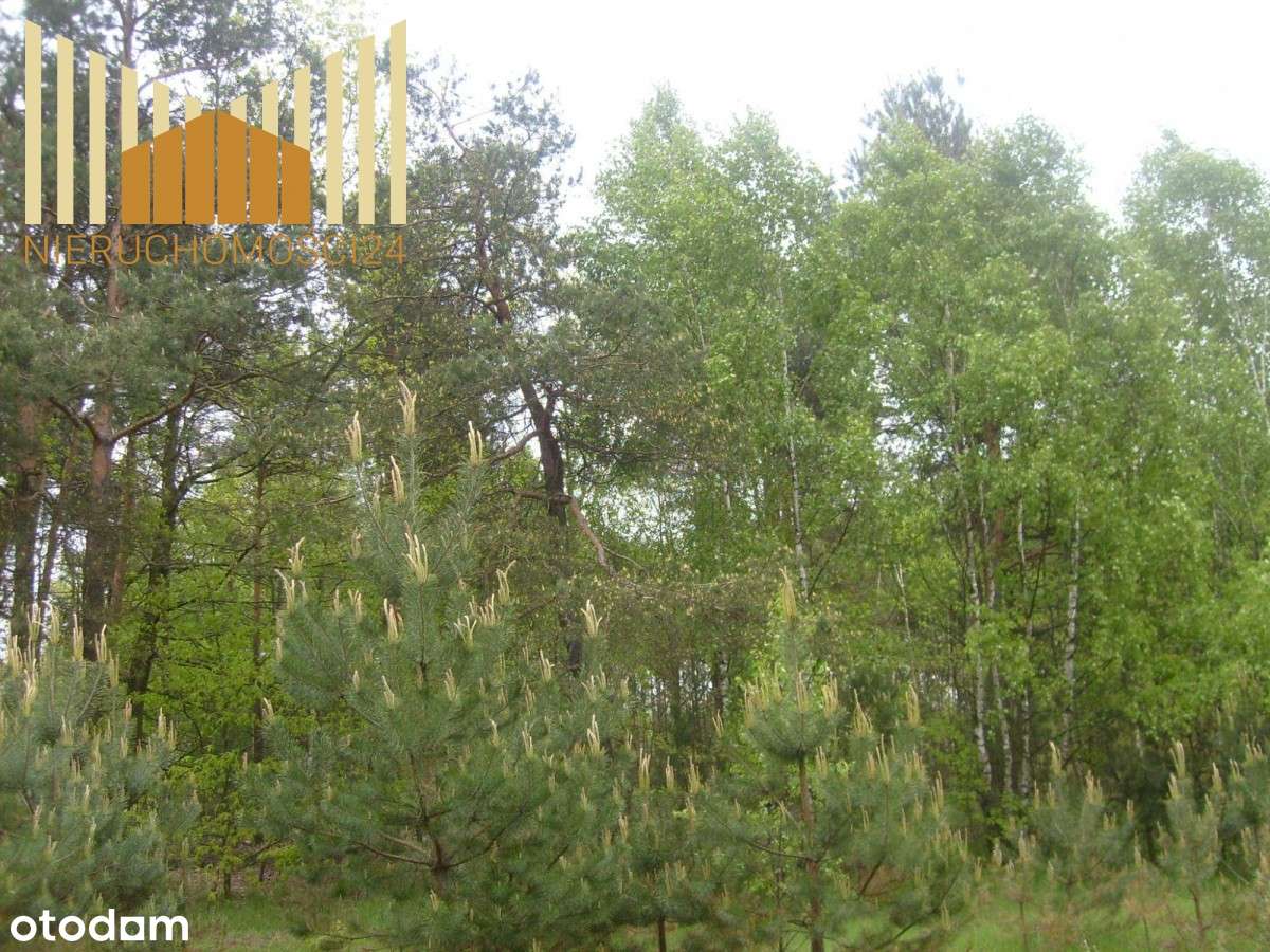 840745 - Pełny obrazek: 5/5