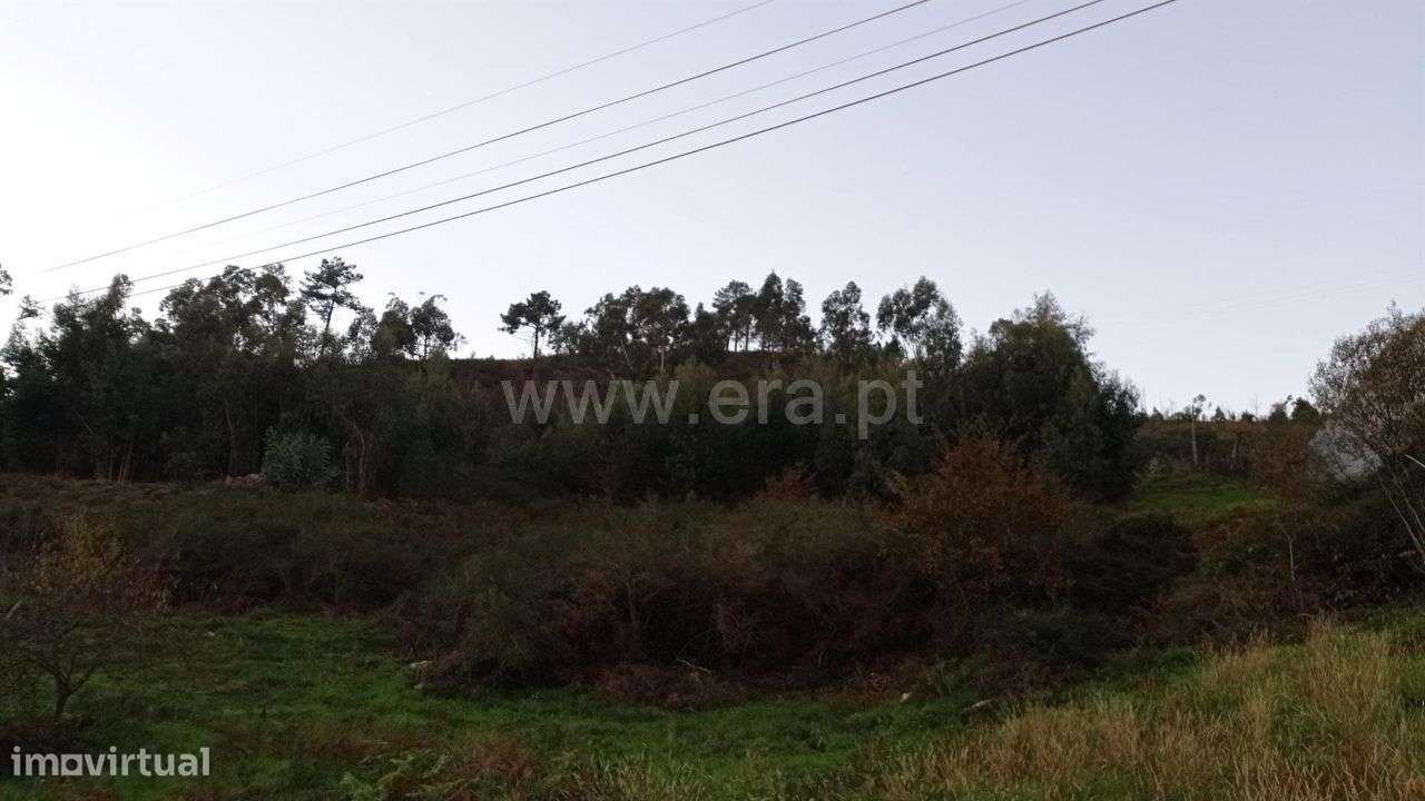 Terreno para construção com 10.000 m2 em Fafe - Grande imagem: 4/19