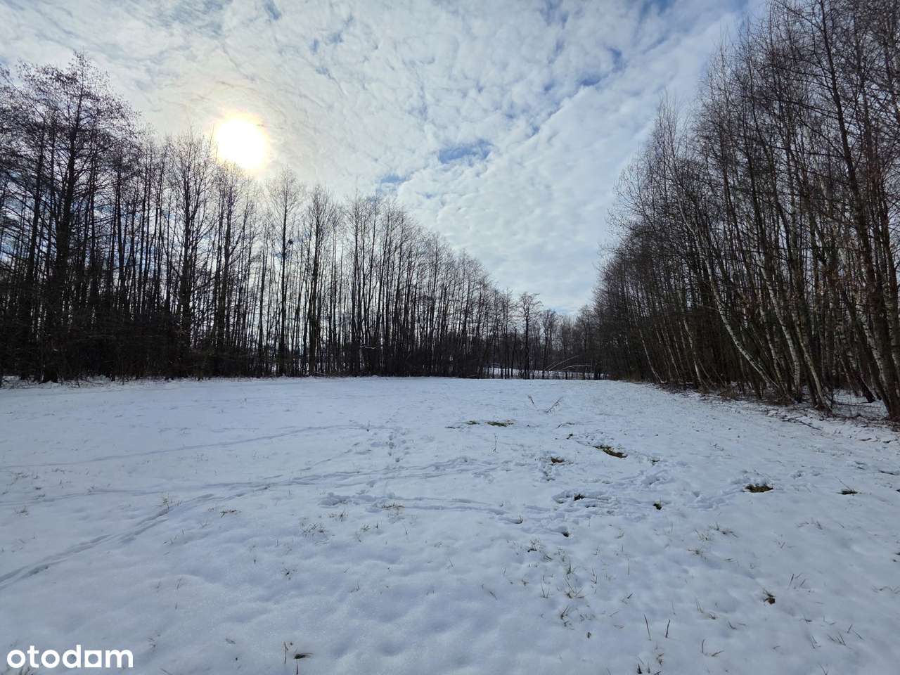 Działka 19 arów – idealna na rekreację | Wójtowa-2