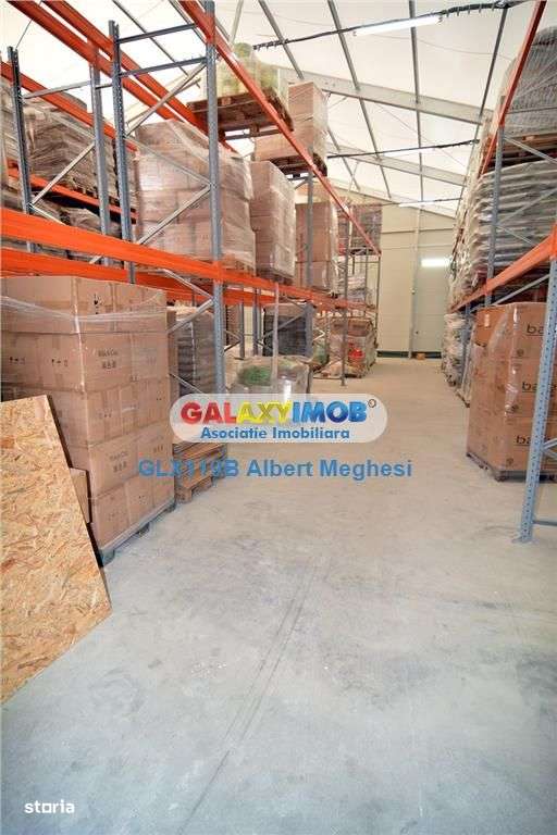 Vanzare hala 400 mp+teren 1500 mp Tunari - Imagine principală: 5/12