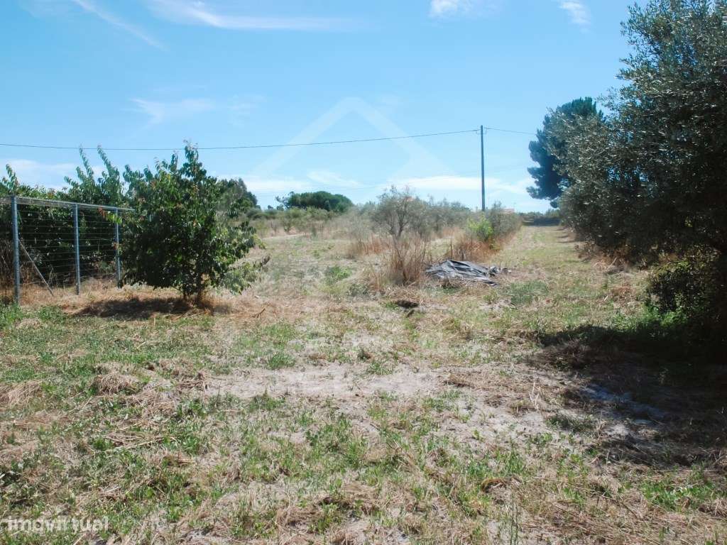 Quinta T4 nos Foros da Branca-38