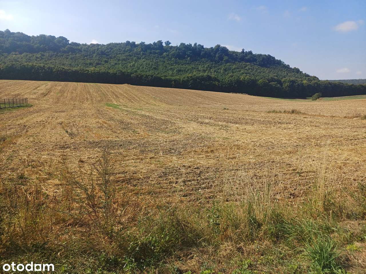 Klonów, gmina Racławice - piękne działki budowlane na sprzedaż-1