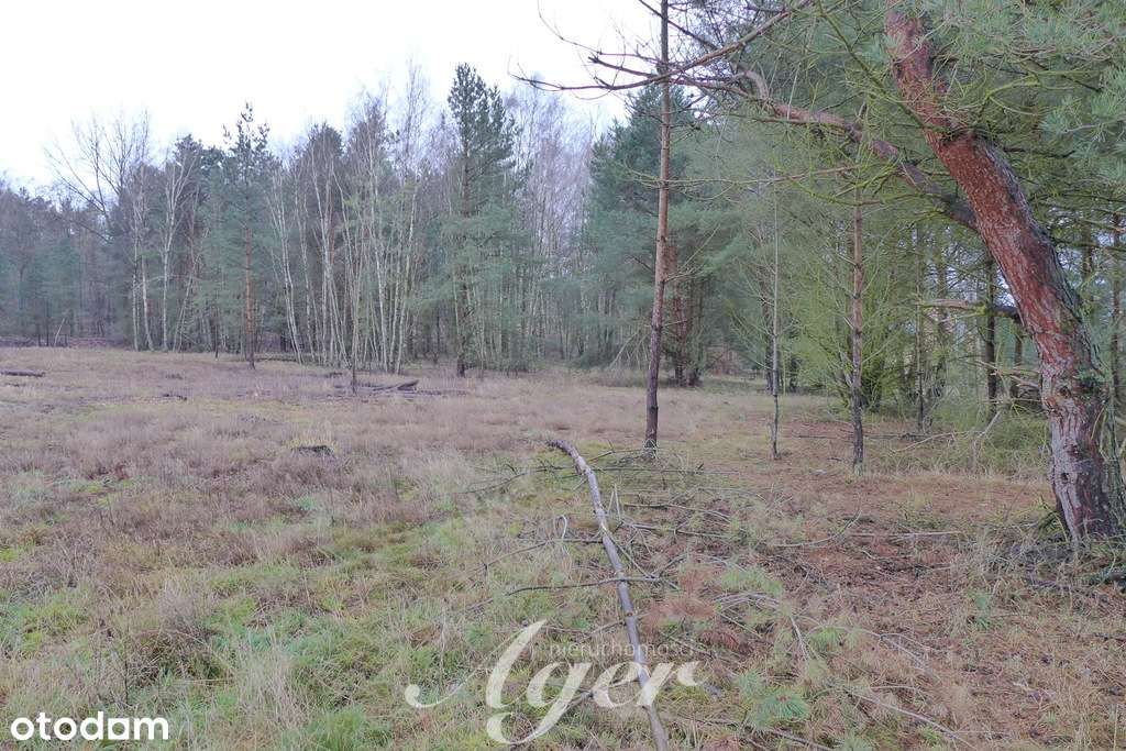 ***Działka budowlana w Przytoku na os. domków***-4