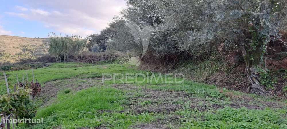 Terreno Lousa - Grande imagem: 5/7