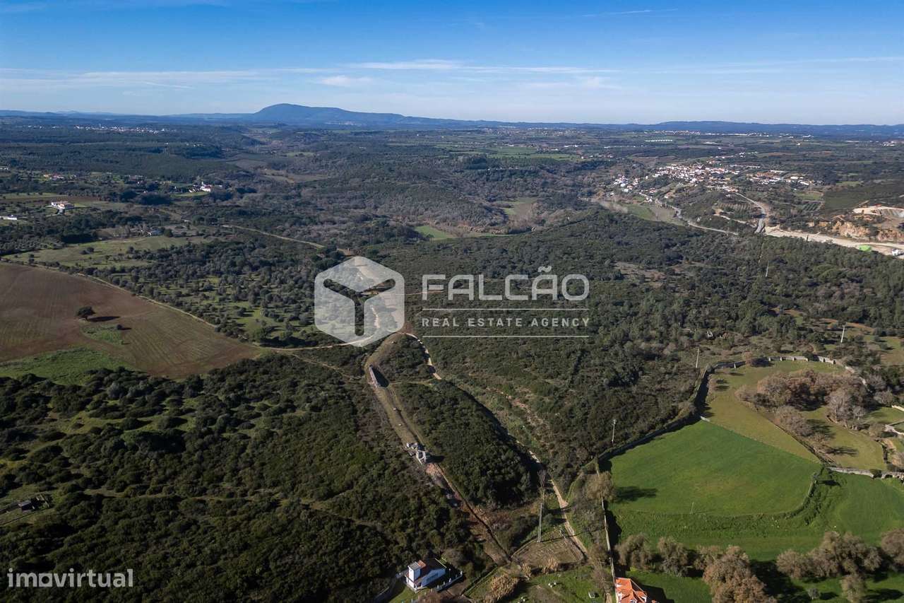 Terreno  Venda em Almoster,Santarém - Grande imagem: 4/29