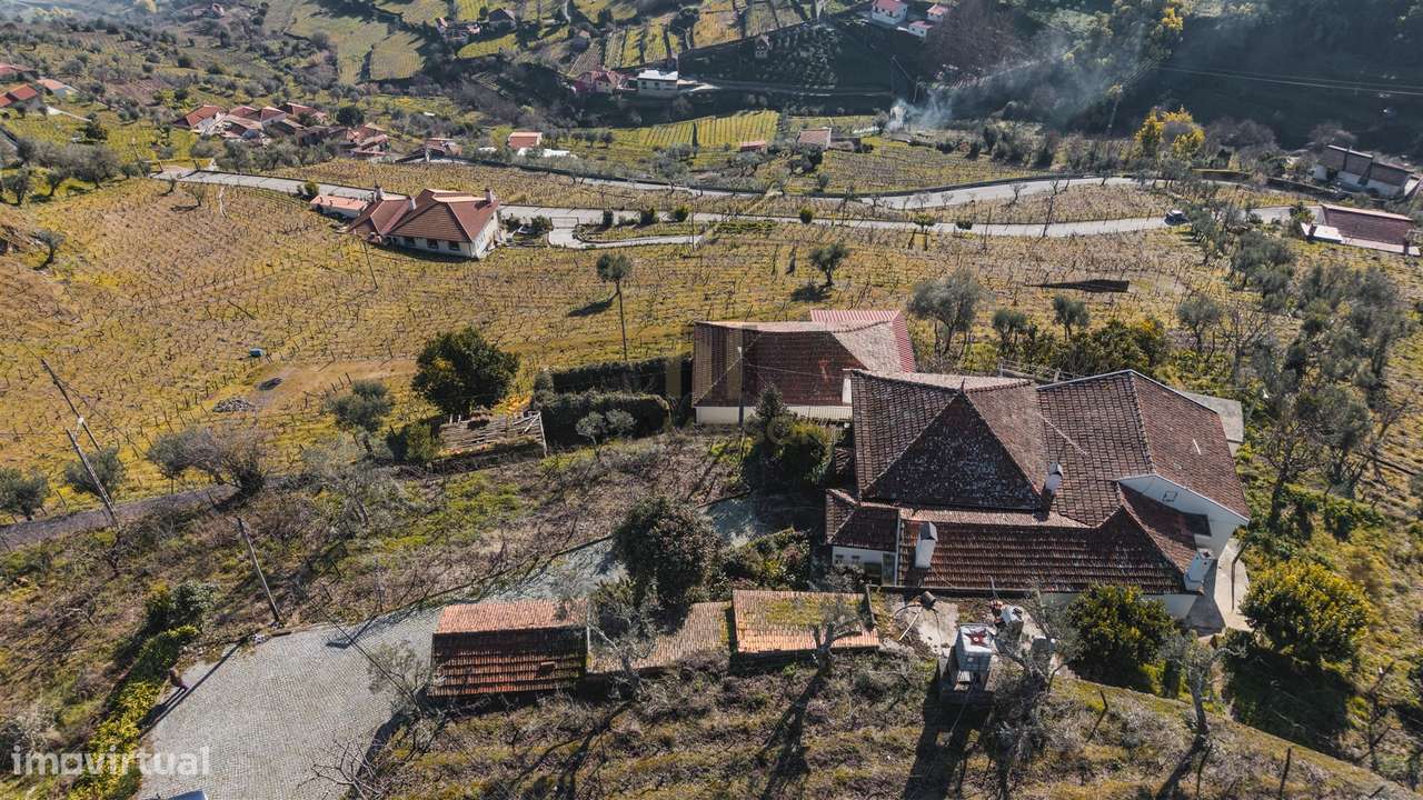 Oportunidade no Douro | Quinta com História | Lamego-10