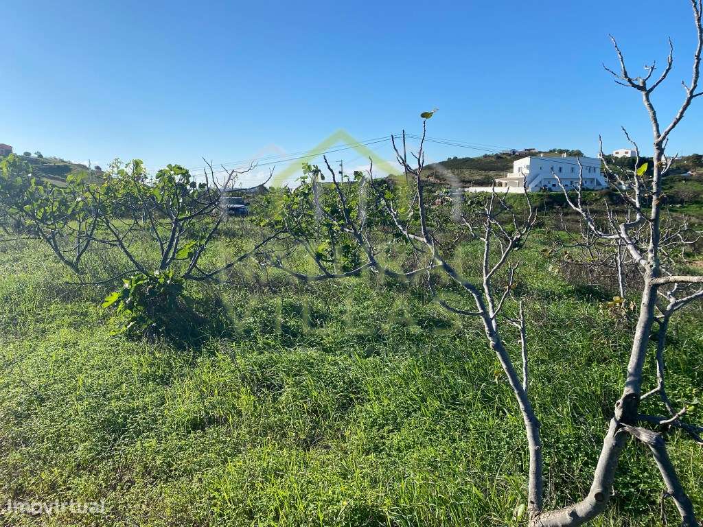 Terreno Rústico Praticamente Plano e Vista Serra Algarvia, Tavira - Grande imagem: 5/5