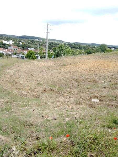 Terreno urbanizado Vale de Cavalos chamusca Santarém - Grande imagem: 4/9