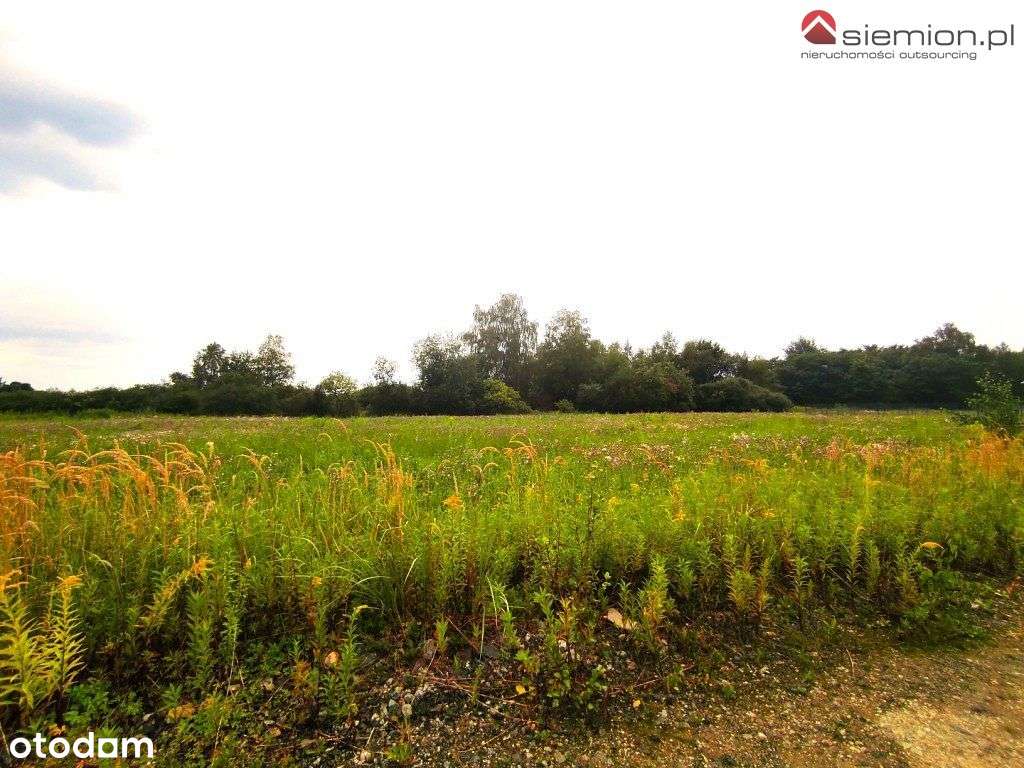 Działka budowlana pod lasem - Pełny obrazek: 4/11