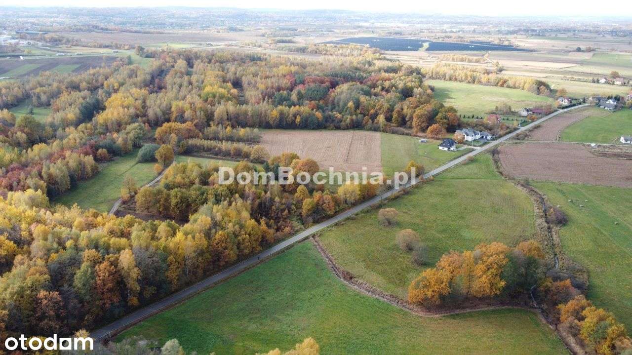 38ar budowlana przy drodze Borek Rzezawa-12