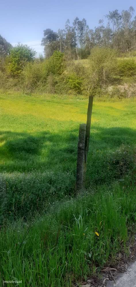 Terreno rústico para cultura em Canedo - Grande imagem: 2/8