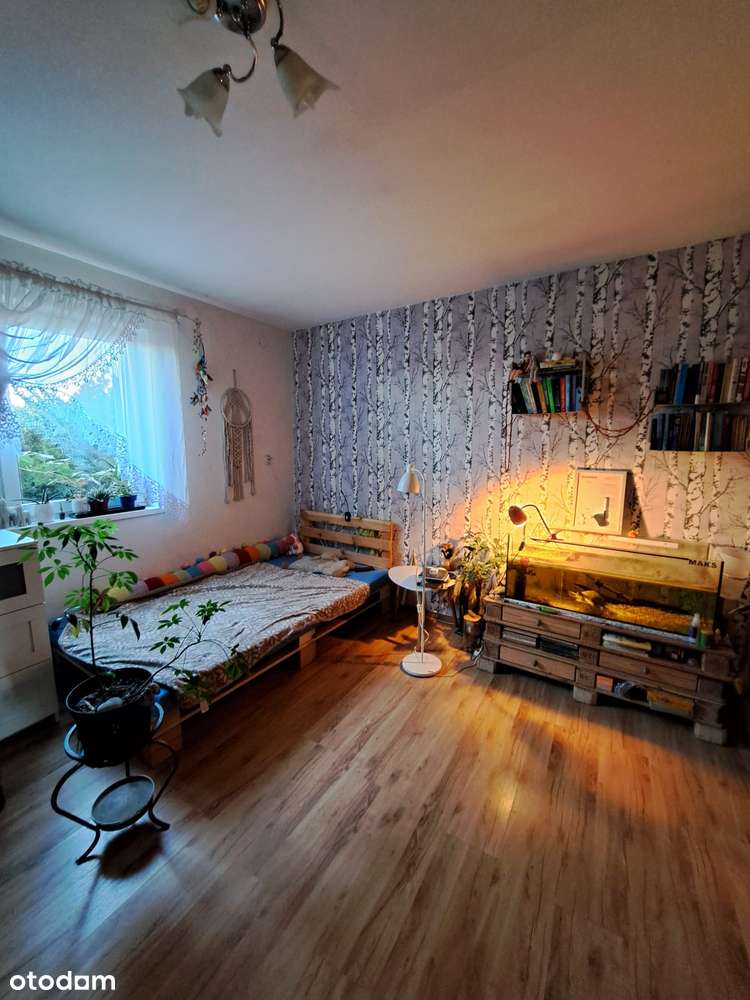 Dom, duża działka, stajnia-16