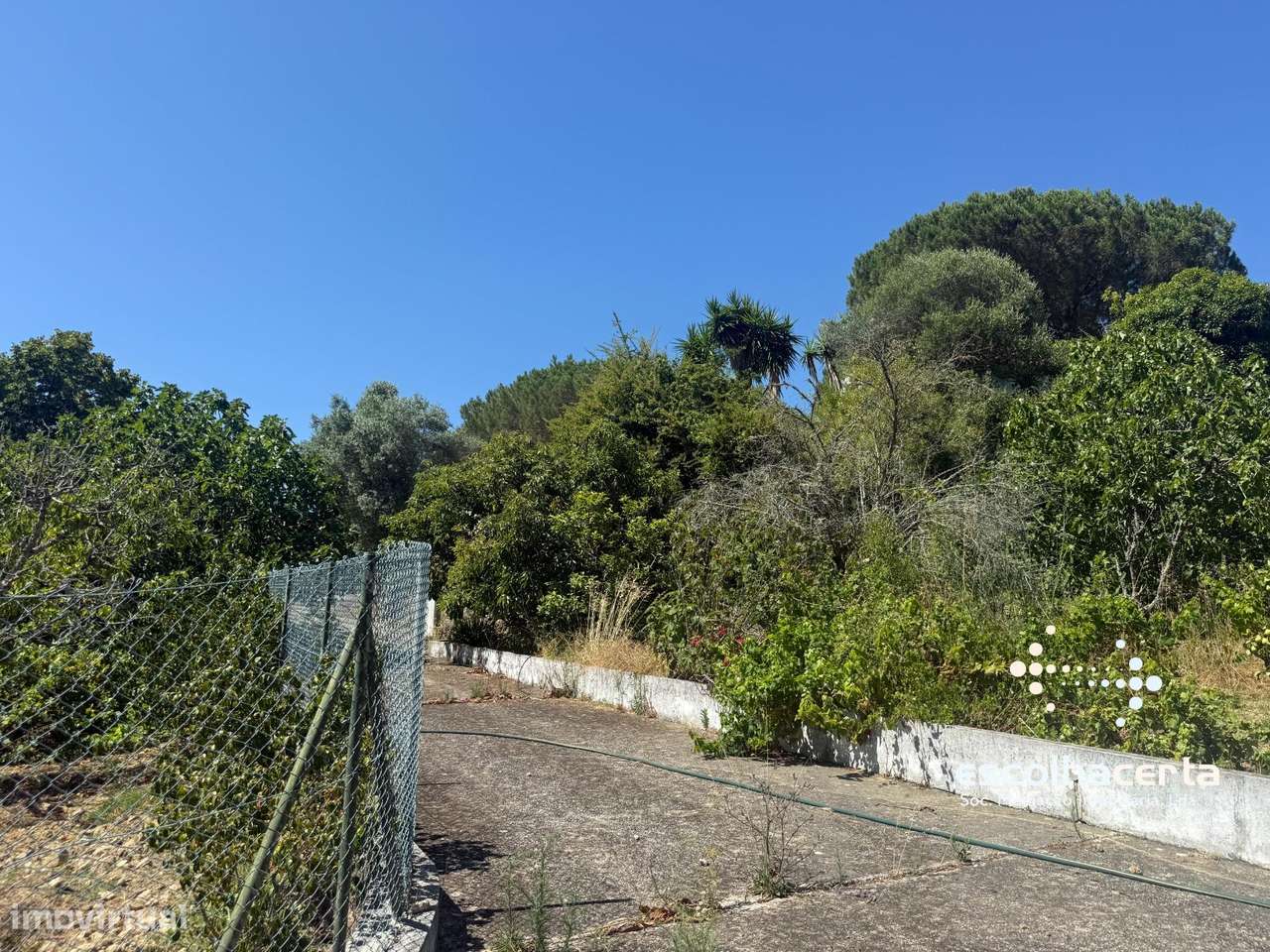 Quinta unica em pleno coração da Arrabida-56