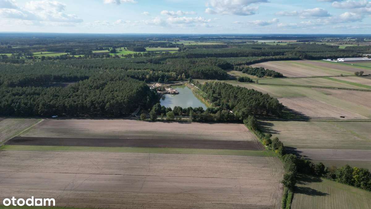 Działka rolno-leśna  21800 m² w spokojnej okolicy - Pełny obrazek: 5/11