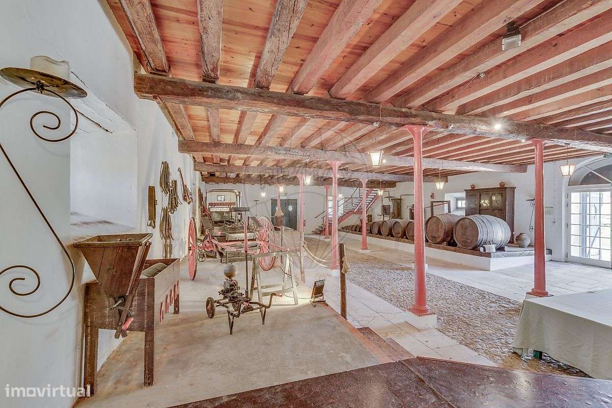 Quinta T21 para venda-23