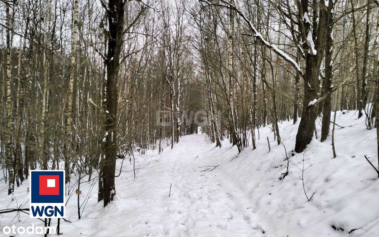 Działka, 46 798 m², Kąciki - Pełny obrazek: 4/20