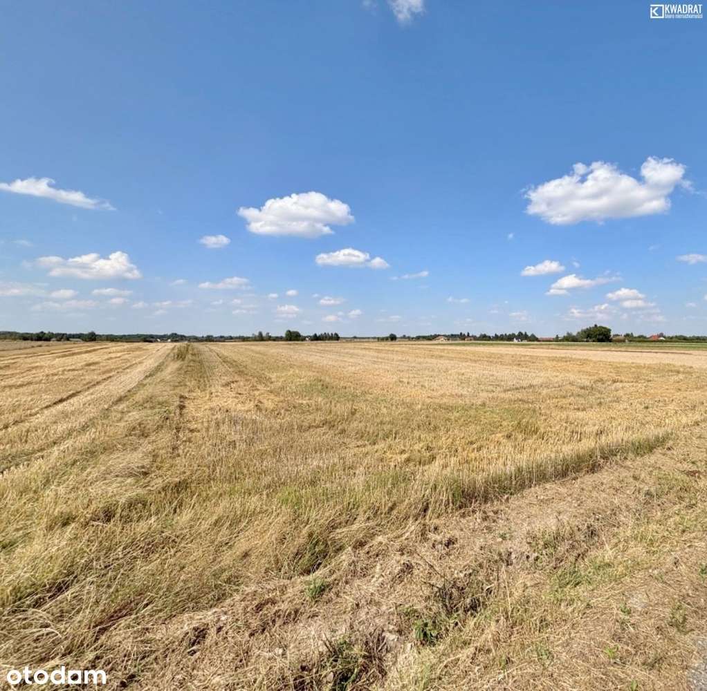 Radawiec mały - działka 27 ar - Pełny obrazek: 4/6