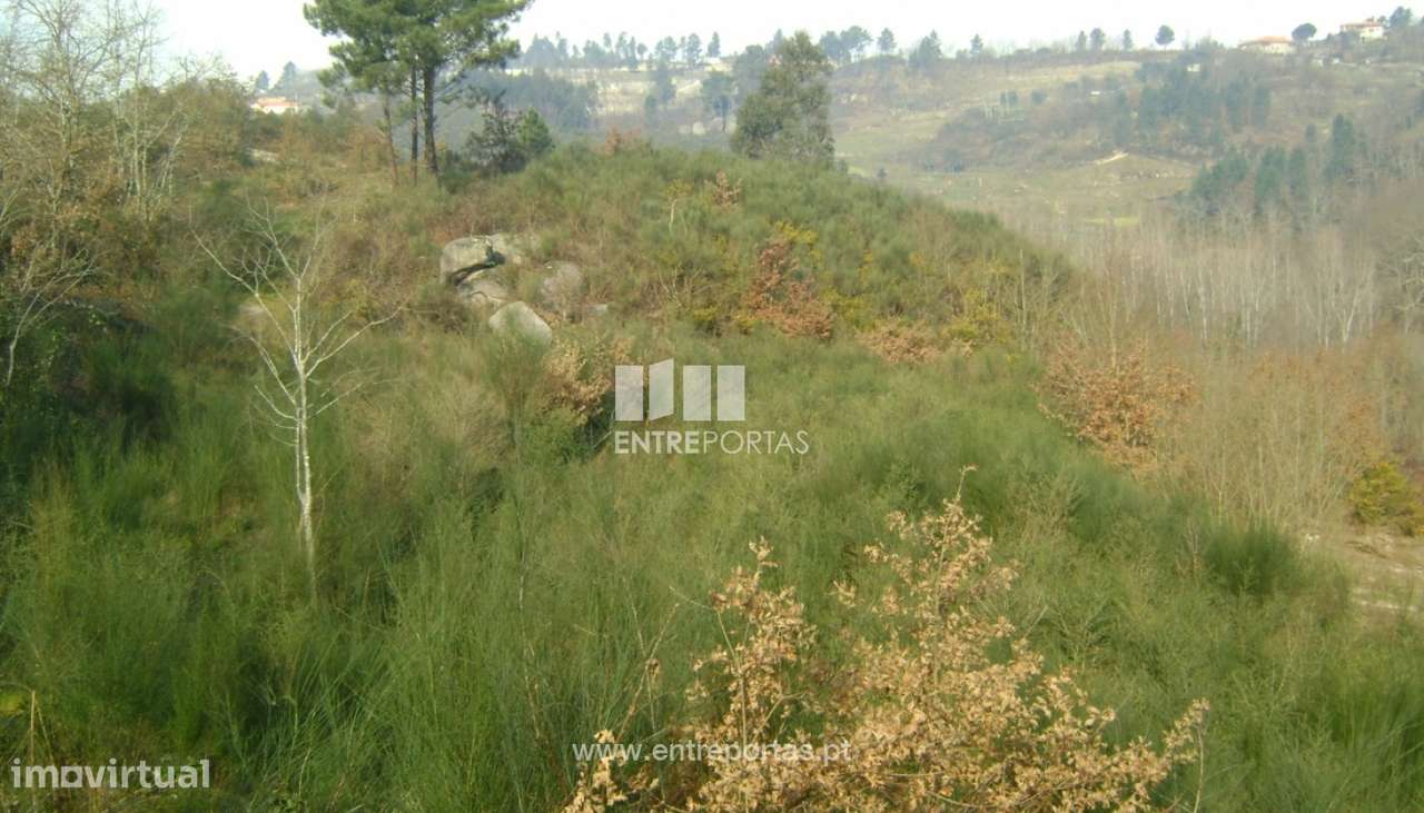 Venda Terreno, Soalhães, Marco de Canaveses - Grande imagem: 2/6