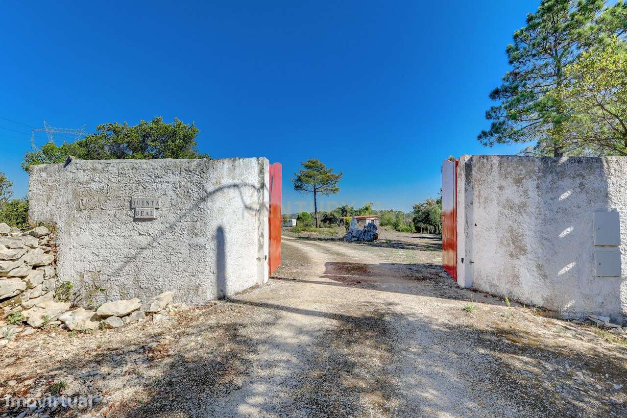 Terreno 13.800 m², Rendimento Imediato e Infraestruturas Completas-24