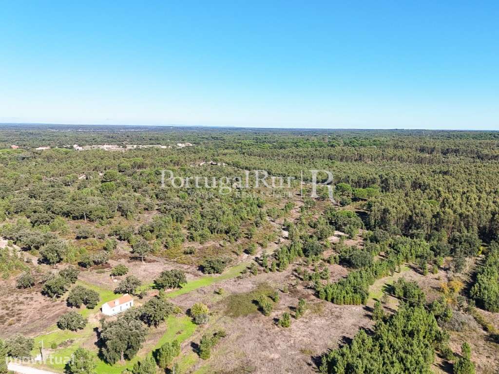 Quinta de 20ha com projeto para Turismo Rural a 1h de Lisboa-49