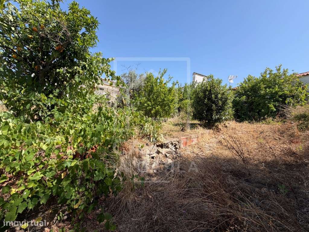 Moradia com espaço comercial com 657m2 em Albergaria dos Fusos-36