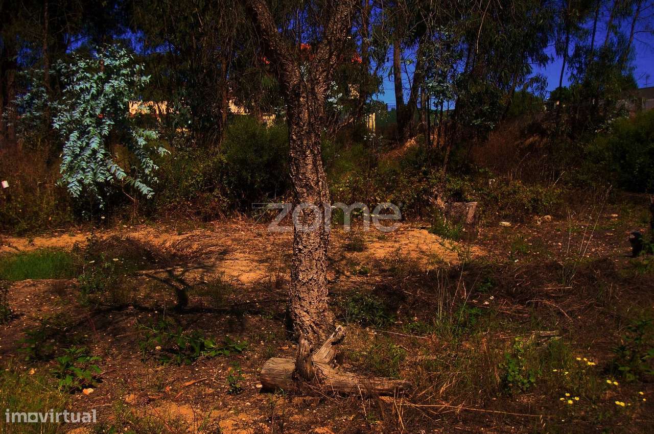 Terreno Rústico - Grande imagem: 5/10