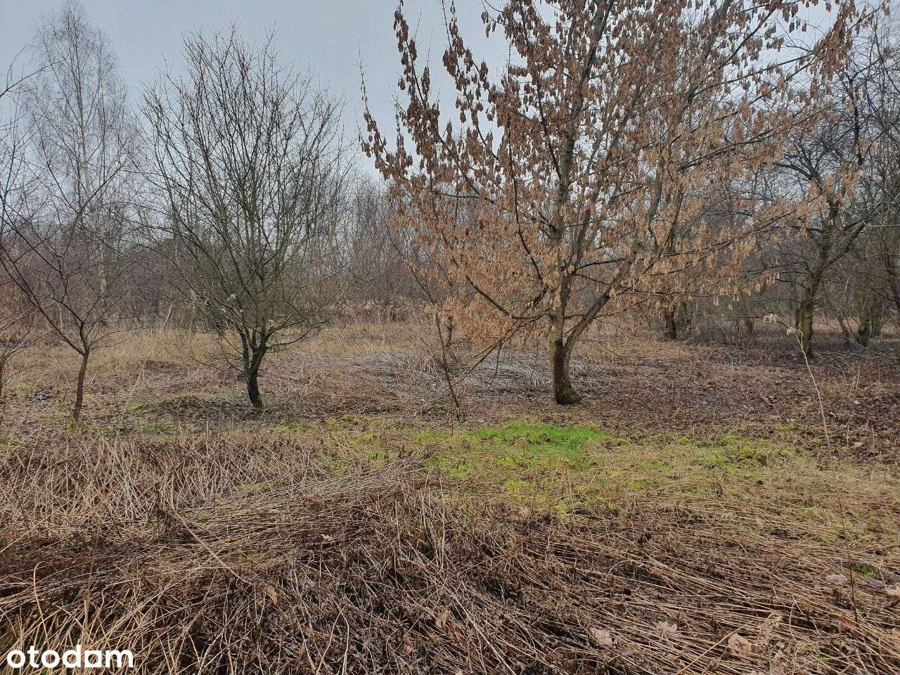 Warszawa Anin - działka inwestycyjna 6200m2-5