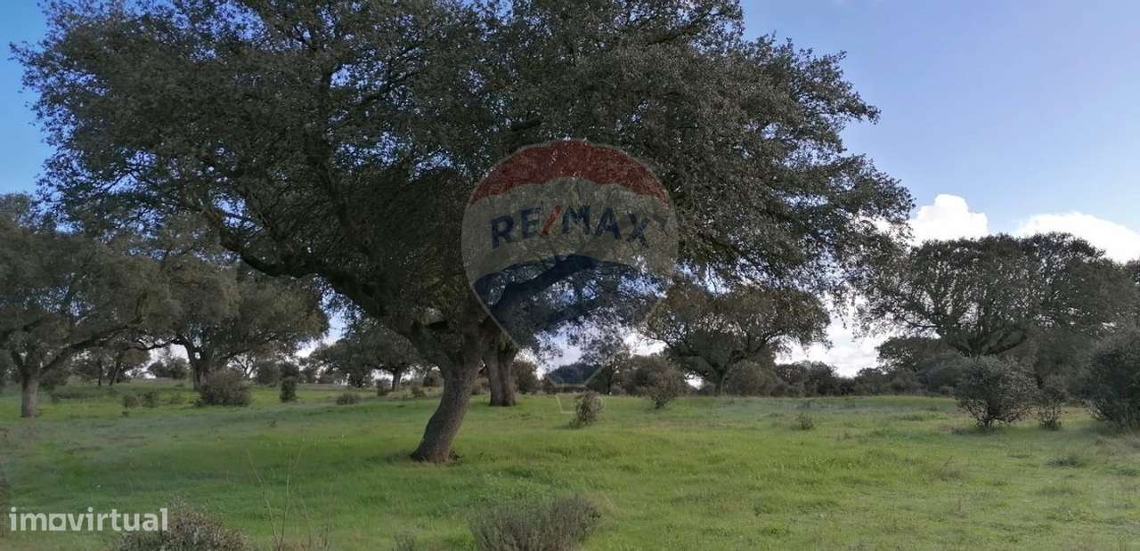 Terreno  para venda - Grande imagem: 3/20