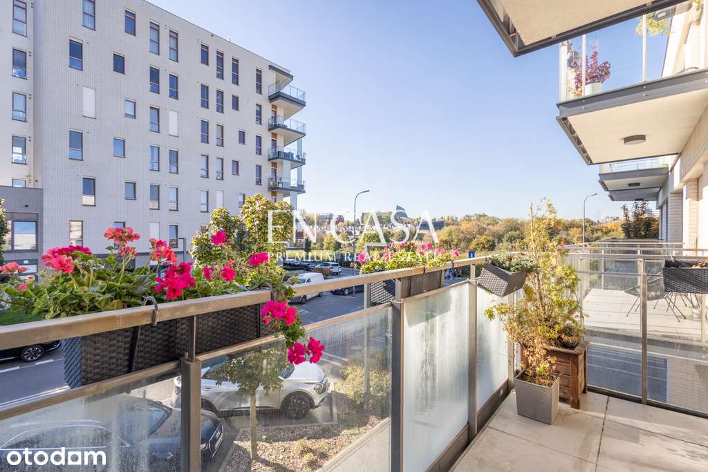 Bergamotki | tuż przy parku | wysokie na 3m - Pełny obrazek: 5/18