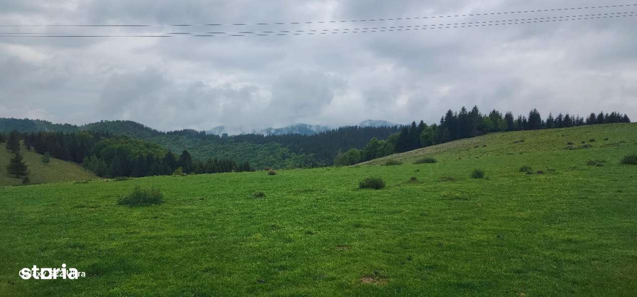 Parcele de vis in munti – Zona Arka Park, cu drum de acces si PUZ ap - Imagine principală: 2/19