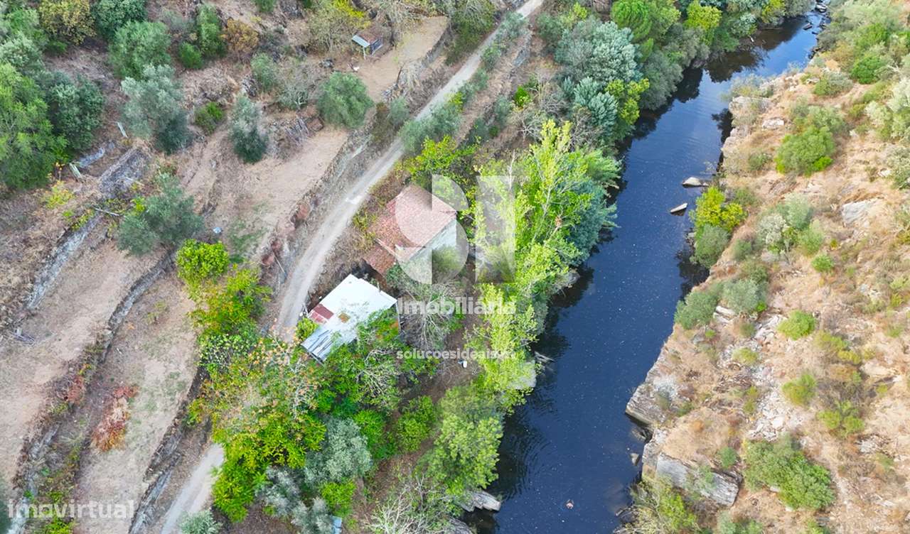 Propriedade no Douro - Grande imagem: 4/23