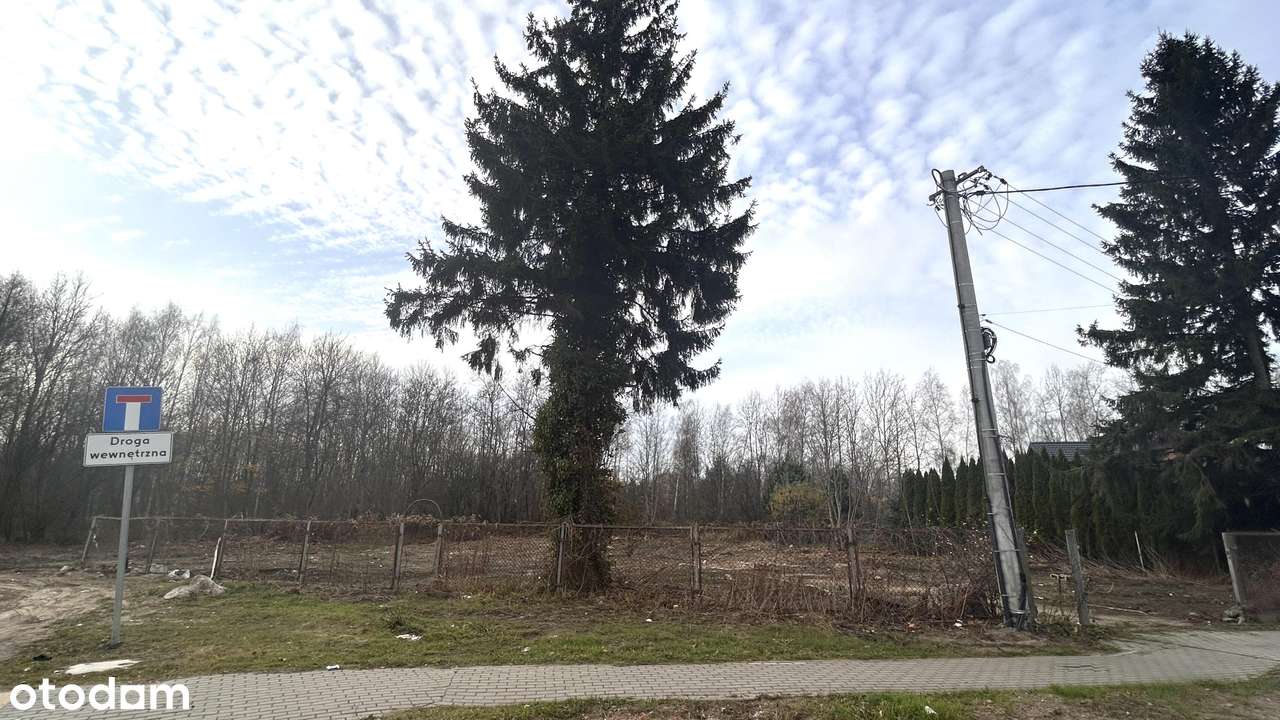 Radzymin-produkcja, składy i magazyny - Pełny obrazek: 4/6