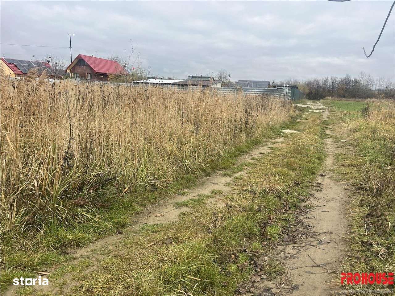 Hemeius- teren 500 mp- 18 ml deschidere!-4