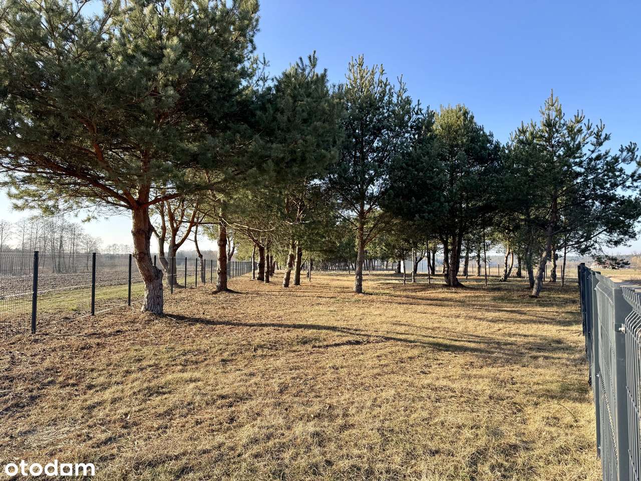 Działki budowlane przy jeziorze Białym-0