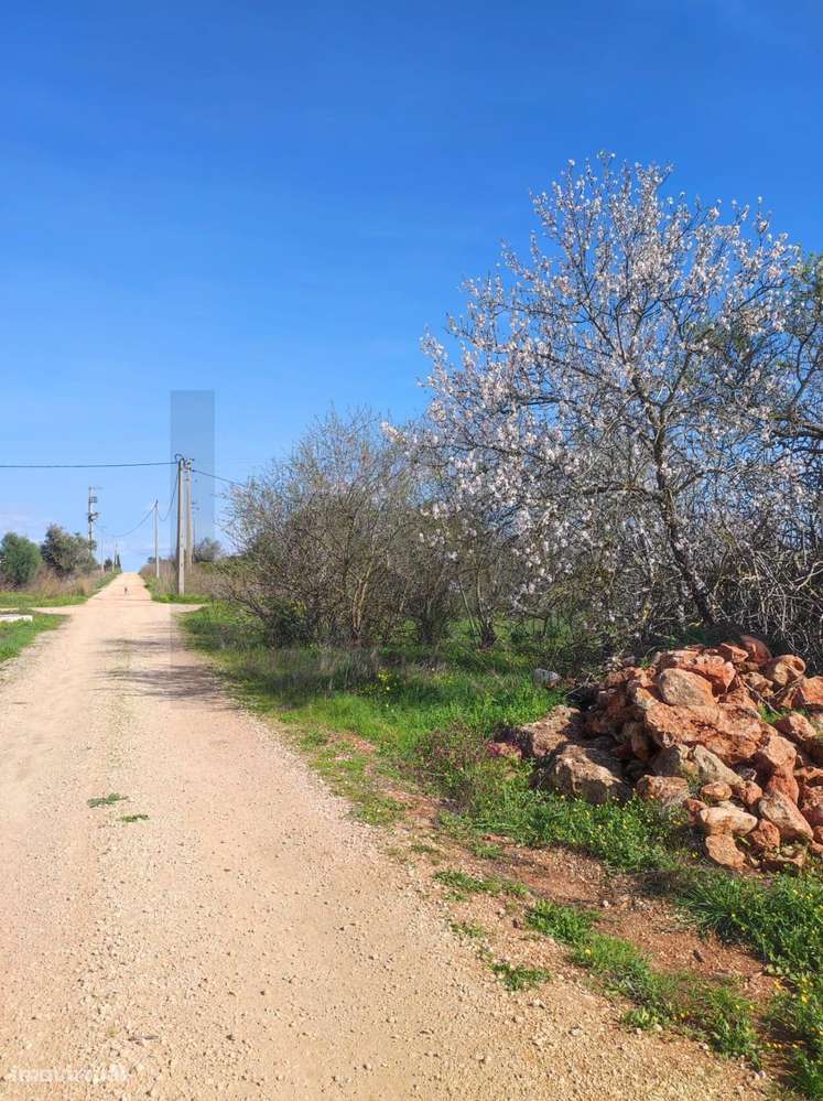 Terreno rústico 10.370 m2, localizado no Benaciate - Silves. - Grande imagem: 5/15