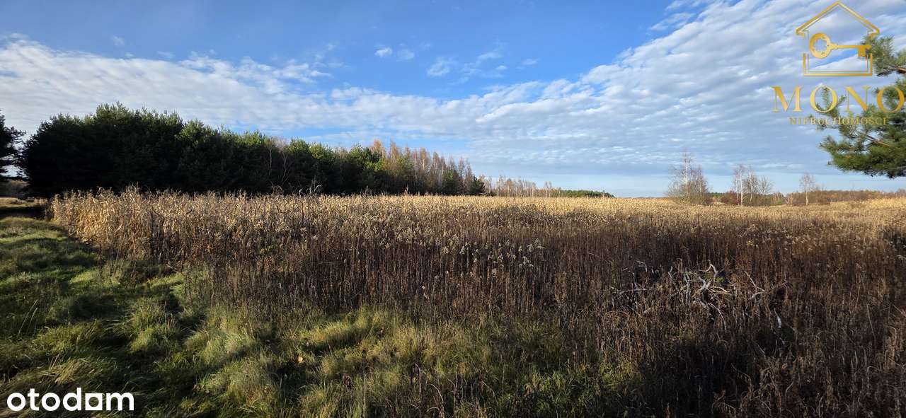 Działka 1,61 ha ok. 10 km od Buska-Zdrój-7