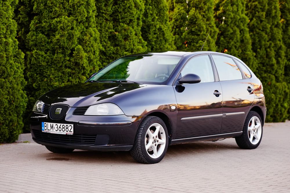 Seat Ibiza III (2002-2008) 2003