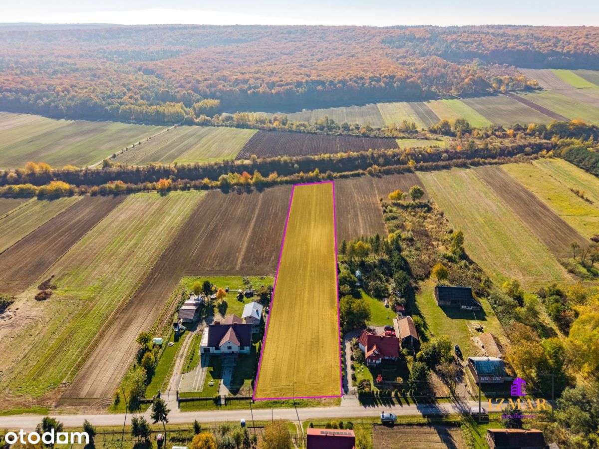 Działka Z Potencjałem W Przysiece! 5582 m² - Pełny obrazek: 5/13