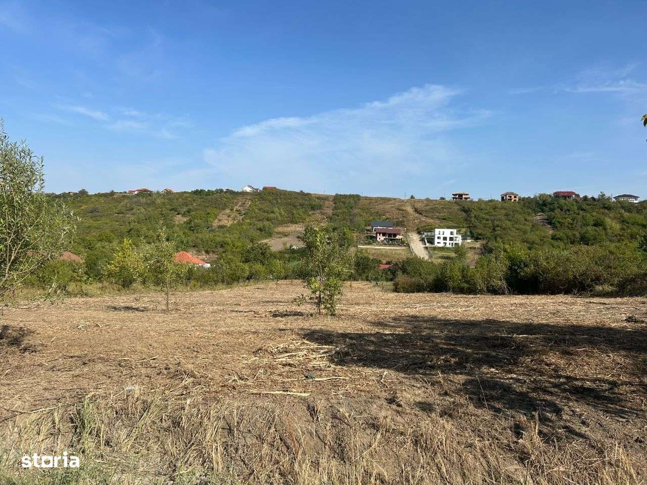 Teren 3280 mp ,str Livezilor ,zona strazii Adevarului - Imagine principală: 1/3