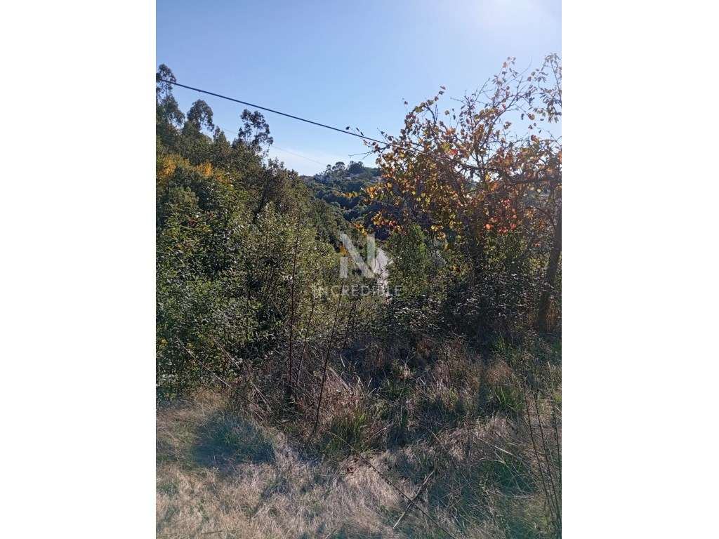 TERRENO RÚSTICO, BRAGA, Vila Verde - Grande imagem: 4/12