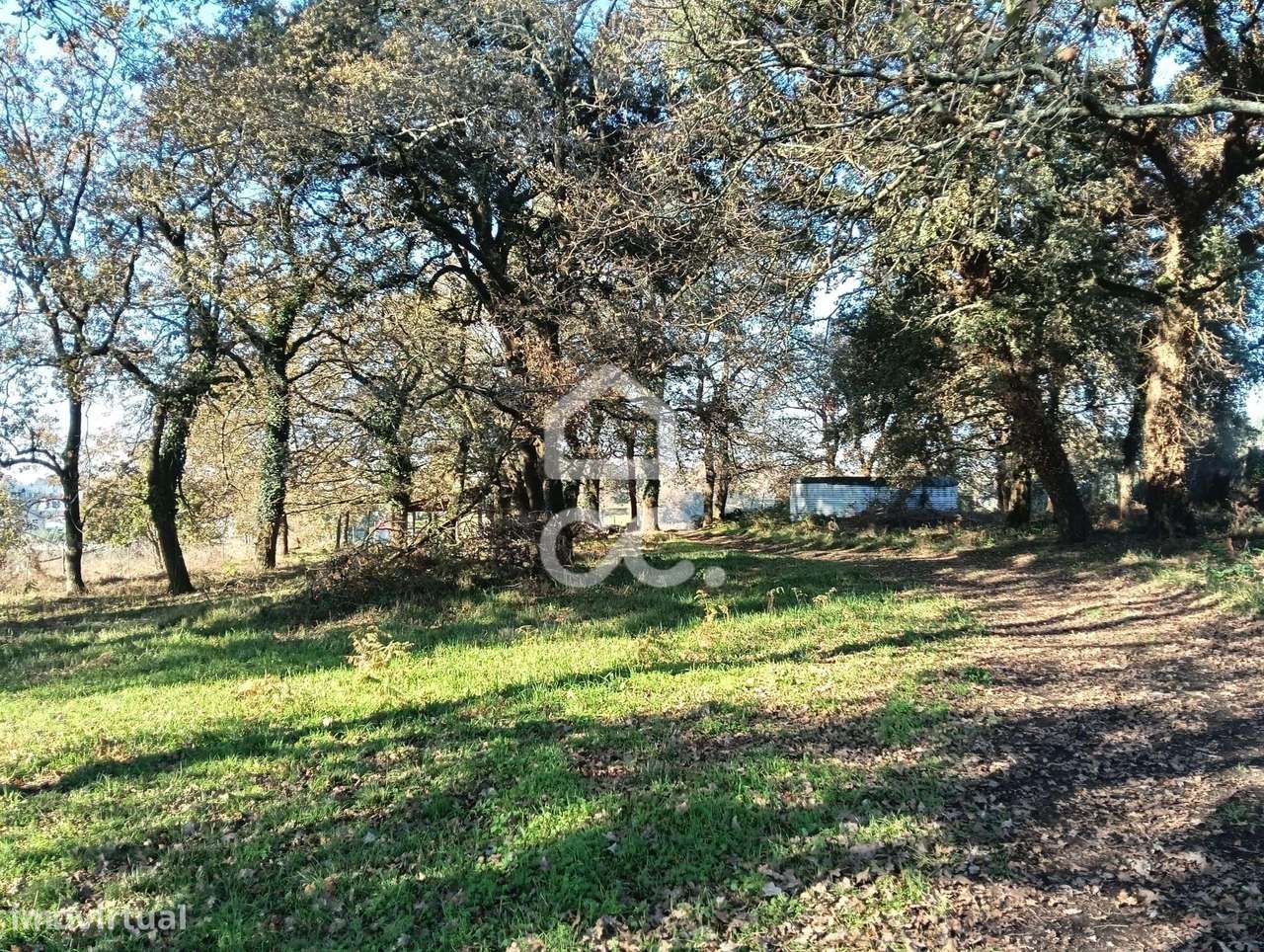 Terreno Agrícola em Bairro - Grande imagem: 5/16
