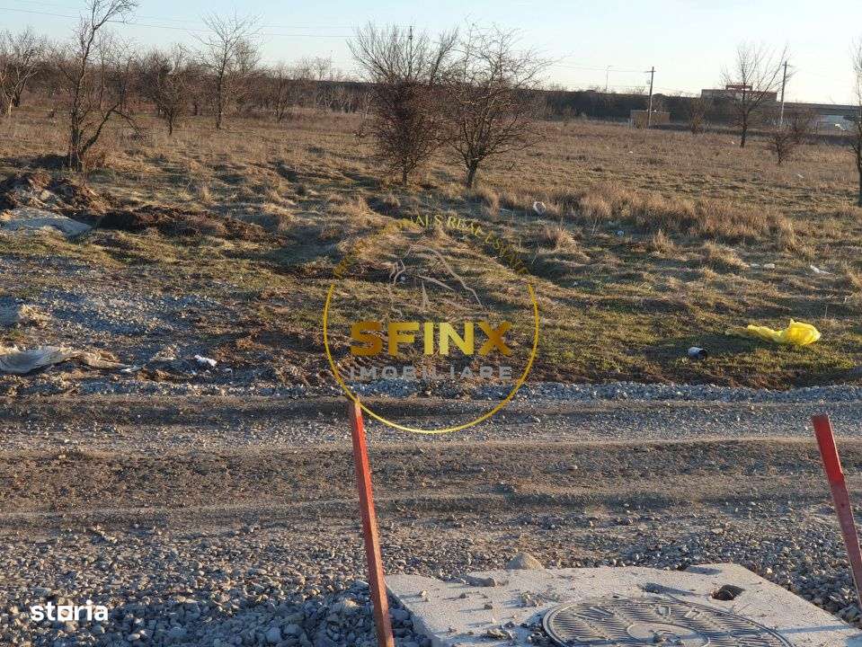 Teren intravilan | Soseaua Alexandriei | 5000mp | posibilitate 20.000m-11