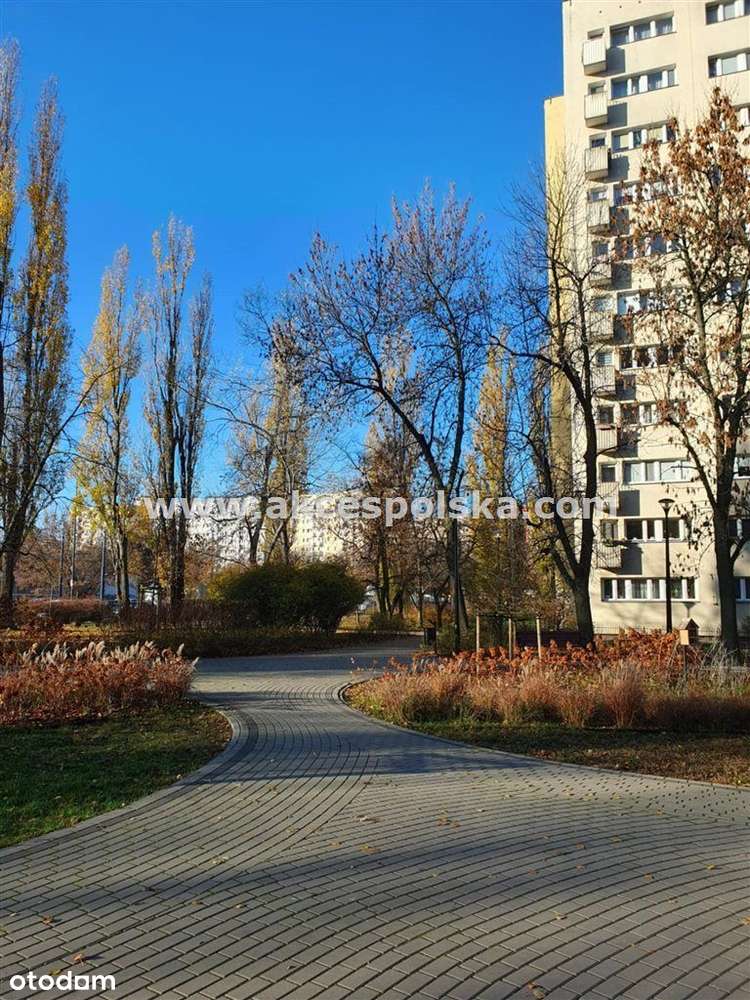 2 pokoje, rozkładowe, szybka komunikacja tramwajem-11