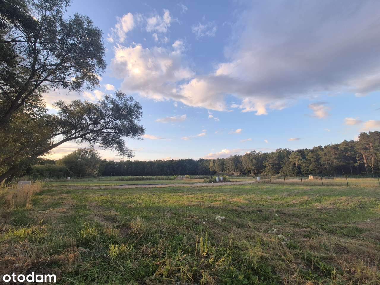6 Działek do wyboru  PRZY LESIE sprzedaż działek plus podatek VAT ,-7