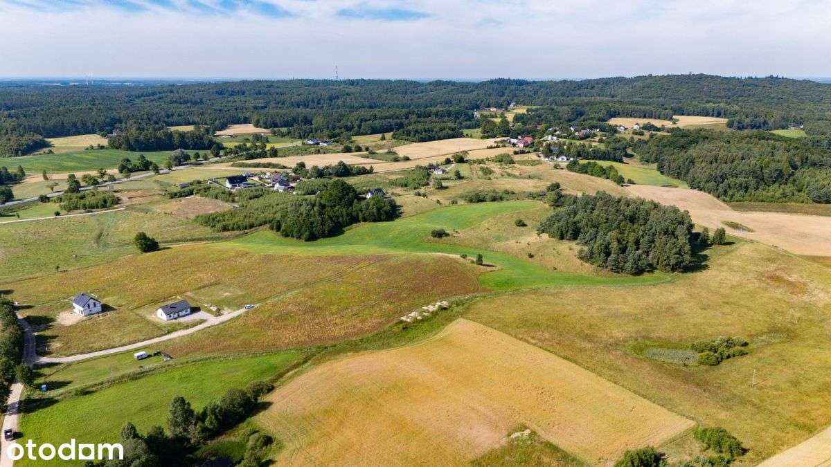 6 działek w otoczeniu natury! |Rybaki, Kaszuby - Pełny obrazek: 4/13