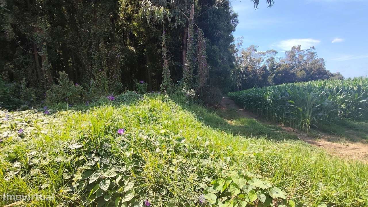 Lote Industrial  Venda em Aveleda,Vila do Conde-18