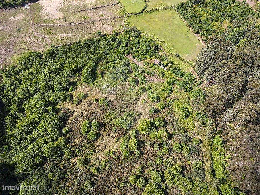 Quinta T0 para venda - Grande imagem: 5/8